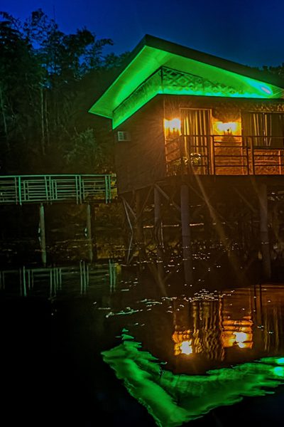 Glamper Grove at Night