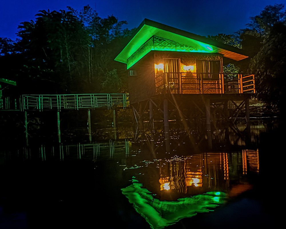 Glamper Grove at Night